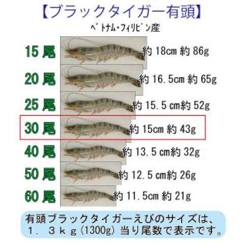 BT有頭30尾　1.3kg