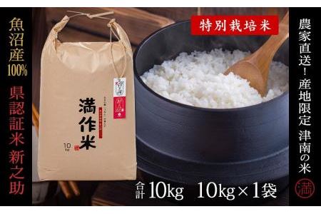 県認証 魚沼津南産新之助 10kg 産地限定！農家直送