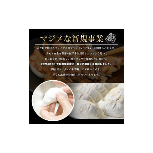 ふるさと納税 大阪府 箕面市 餃子の惑星のピリ辛れんこん餃子(合計72個)