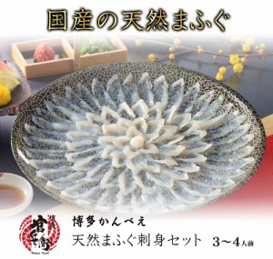 天然まふぐ刺し3～4人前セット 刺身 ふぐ皮 送料無料 ふぐ ふぐ刺し フグ 河豚 下関ふぐ 下関河豚 鍋セット 取寄せ お取り寄