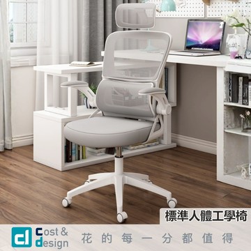 C&D｜標準人體工學椅｜書桌椅 工學椅 辦公椅 電腦椅 人體工學椅 台灣現貨免運 保固1年