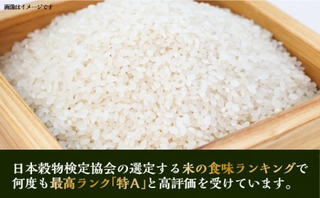 お米 壱岐産 にこまる 5kg 《 壱岐市 》 [JBO053] 米 お米 にこまる  21000 21000円