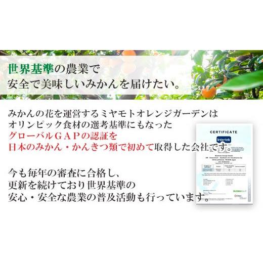 ふるさと納税 愛媛県 八幡浜市 H25-87.みかんと魚の定期便〜みかんと魚の町八幡浜から！１月スタート便