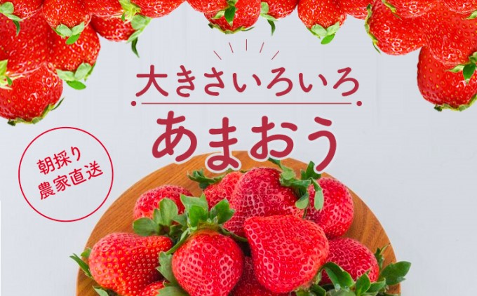 訳あり いちご 2024年2月下旬より発送 あまおう サイズ色々 4パック 約1.14kg 配送不可 離島