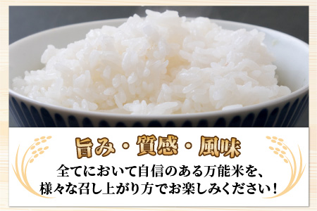 令和5年産 ＜定期便6回＞ ハナエチゼン 精米 10kg×6回（60kg）《発送直前精米！》  ／ ブランド米 華越前 ご飯 お米 白米 新鮮 あわら市産 農家直送 大賞 受賞 新米