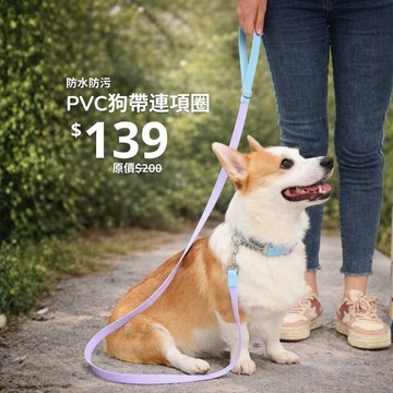 Aqua PVC 防水 寵物項圈牽引繩套裝