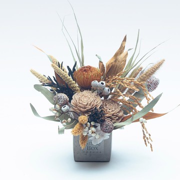 摩卡暖棕盆花 聖誕節  交換禮物 聖誕佈置 生日禮物 開幕志慶