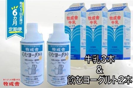 《牧成舎》飲むヨーグルト＆牛乳 毎月1回×6ヶ月お届け定期便 低温殺菌牛乳 3本 無添加 飲むヨーグルト 2本 飛騨産生乳100%使用 [Q128]