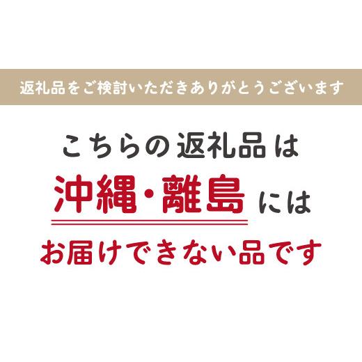 ふるさと納税 山梨県 笛吹市 ＜2024年先行予約＞産地厳選シャインマスカット1.2kg〜1.3kg（2房〜3房）※沖縄・離島配送不可※ 106-003