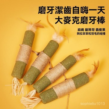 台灣現貨 貓薄荷棒 超大木天蓼棒 拉菲草 蟲癭果 磨牙貓咪紓壓 靜音貓玩具 逗貓棒 貓咪磨牙棒 口腔 防貓亂咬