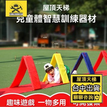 台中出貨🔥【築造者聯盟】🔥可開發票✅幼兒園屋頂天梯 感統訓練器材 跳格房子 鑽洞爬行遊戲道具 體智能戶外玩具 跳躍平衡墊