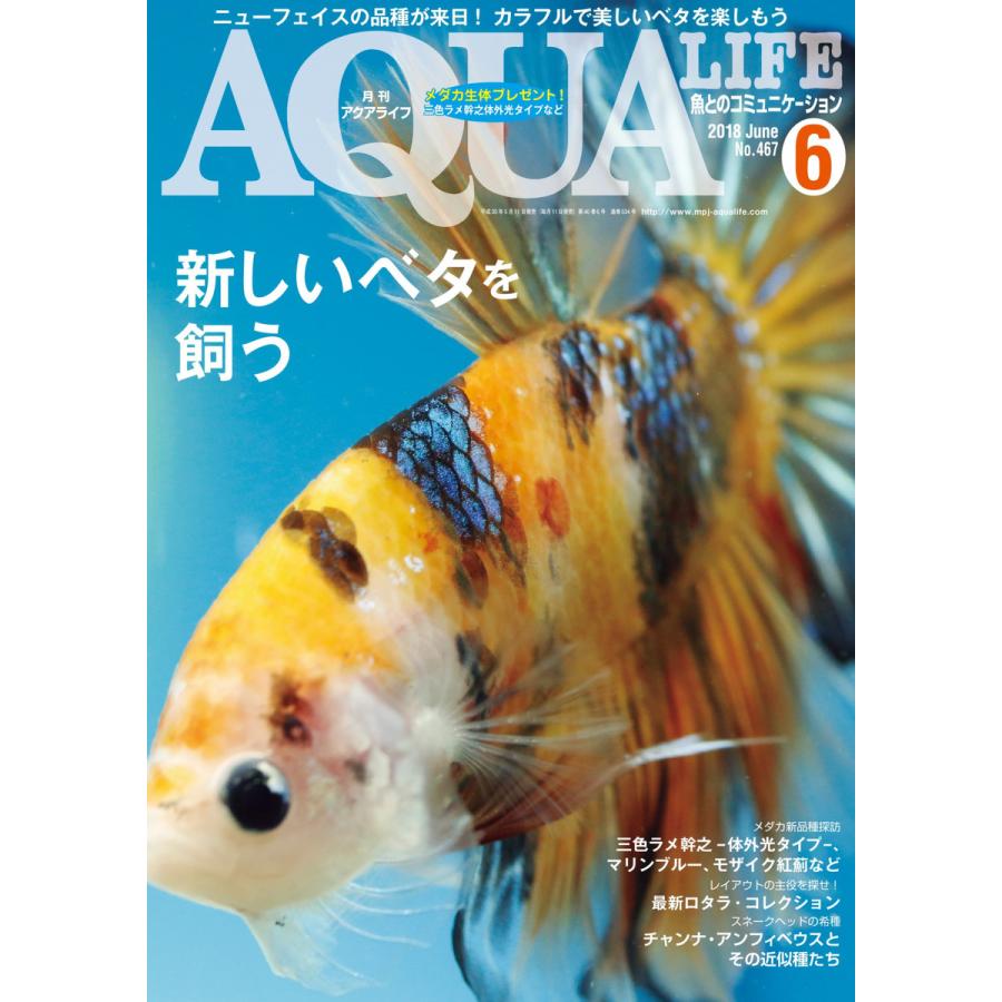 アクアライフ 6月号 電子書籍版   アクアライフ編集部