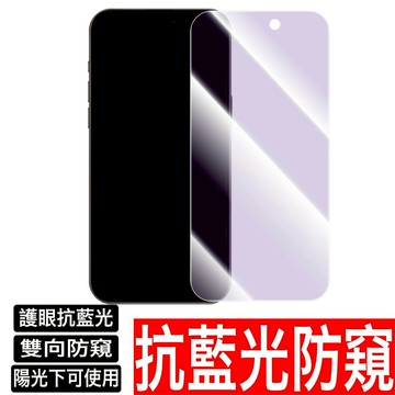 防窺抗藍光滿版玻璃貼 防偷窺螢幕保護貼 適用iPhone 16 15 14 13 12 11 Pro Max XR XS