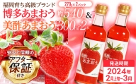 あまおういちご１箱（2パック）＆美酢あまおう2本セット （300ml×2本）アフター保証 いちご 博多あまおう JAグループ 2024年2月から順次 2024年先行予約受付 おすすめ 苺 イチゴ 大木町 JA福岡大城 不揃い フルーツ 果物 AG003