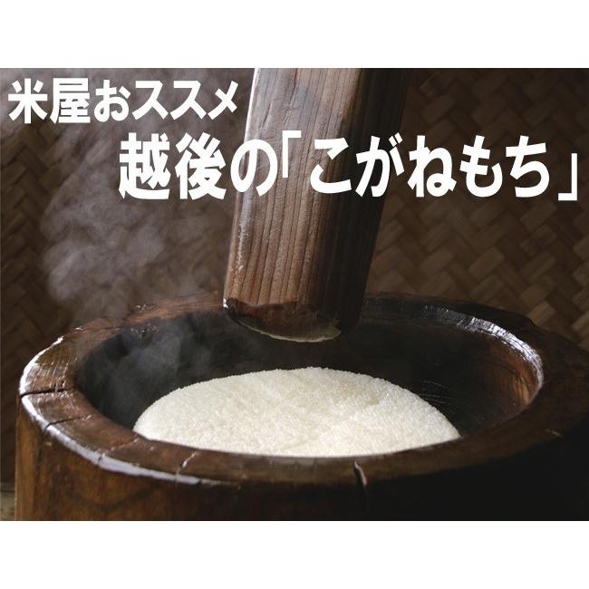 令和５年産　もち米15kg　特別栽培米新潟産こがねもち 5kg×3  送料無料(一部地域を除く)