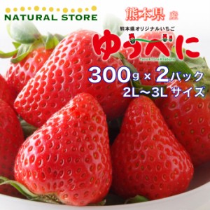 [予約 2024年1月5日-1月30日の納品] ゆうべに 2パック 2L 3L 約300g×2パック 熊本県産 いちご