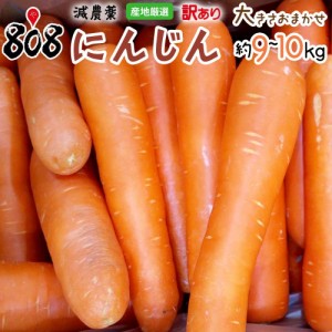 訳あり　低農薬人参　大きさおまかせ　約9～10kg(北海道沖縄別途送料加算)人参ジュース にんじんジュース 人参