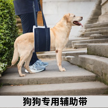狗狗后肢輔助帶中型大型犬拉布拉多后肢托腹帶老年狗上樓輔助神器