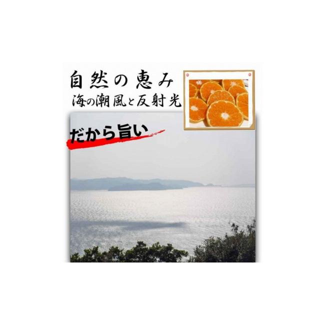 ふるさと納税 和歌山県 有田川町 ＜12／26までの注文は年内発送＞ みかん ご家庭用　和歌山県有田川町産　有田みかん10kg