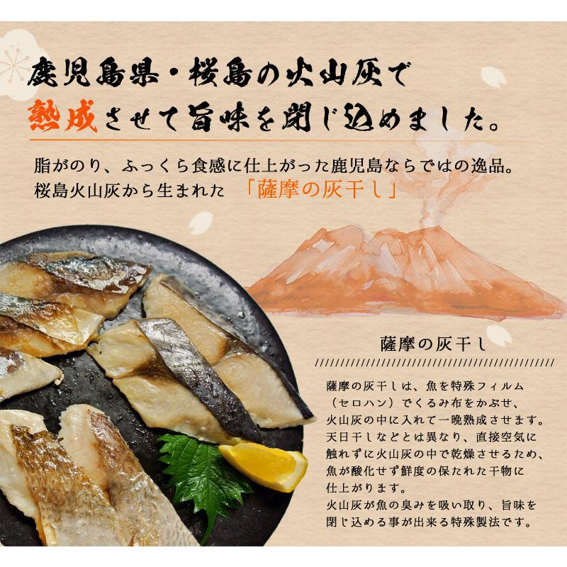 薩摩の灰干しセット3種 各2個 セット  骨なし　灰干し　干物　魚の干物　鰆　鯖　鯛　鹿児島 浜上水産（北海道・沖縄別途送料）