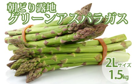 北海道 富良野市産 アスパラ 緑 (2Lサイズ) 約1.5kg 朝どり 露地 グリーン アスパラガス 詰め合わせ 野菜 新鮮 数量限定 先着順