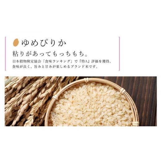 ふるさと納税 北海道 知内町 特別栽培米産地直送 玄米 ゆめぴりか 10kg×12回 《帰山農園》