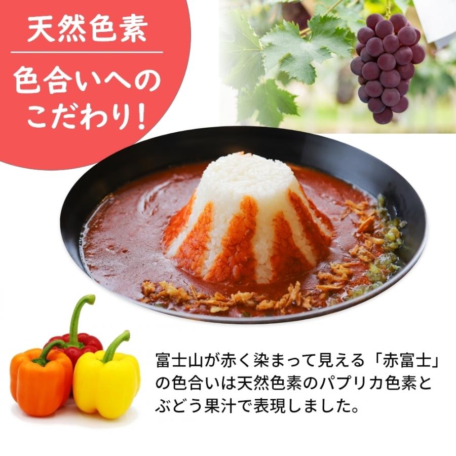 レトルトカレー 青い富士山カレー 赤い富士山カレー 各5食 計10食 セット売り 200g 青いカレー 食べ比べ まとめ買い プレゼント