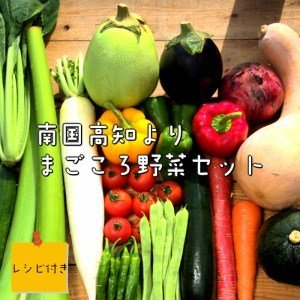 ふるさと納税 野菜 セット 6-8品目 詰め合わせ レシピ 付き 産地直送 高知県 須崎市 高知県須崎市