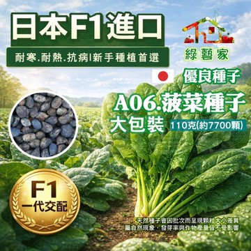 【綠藝家】大包裝A06 菠菜種子110克(約7700顆)藥劑處理  抗熱 抗寒 耐病 蔬菜種子 陽台種菜 園藝顆