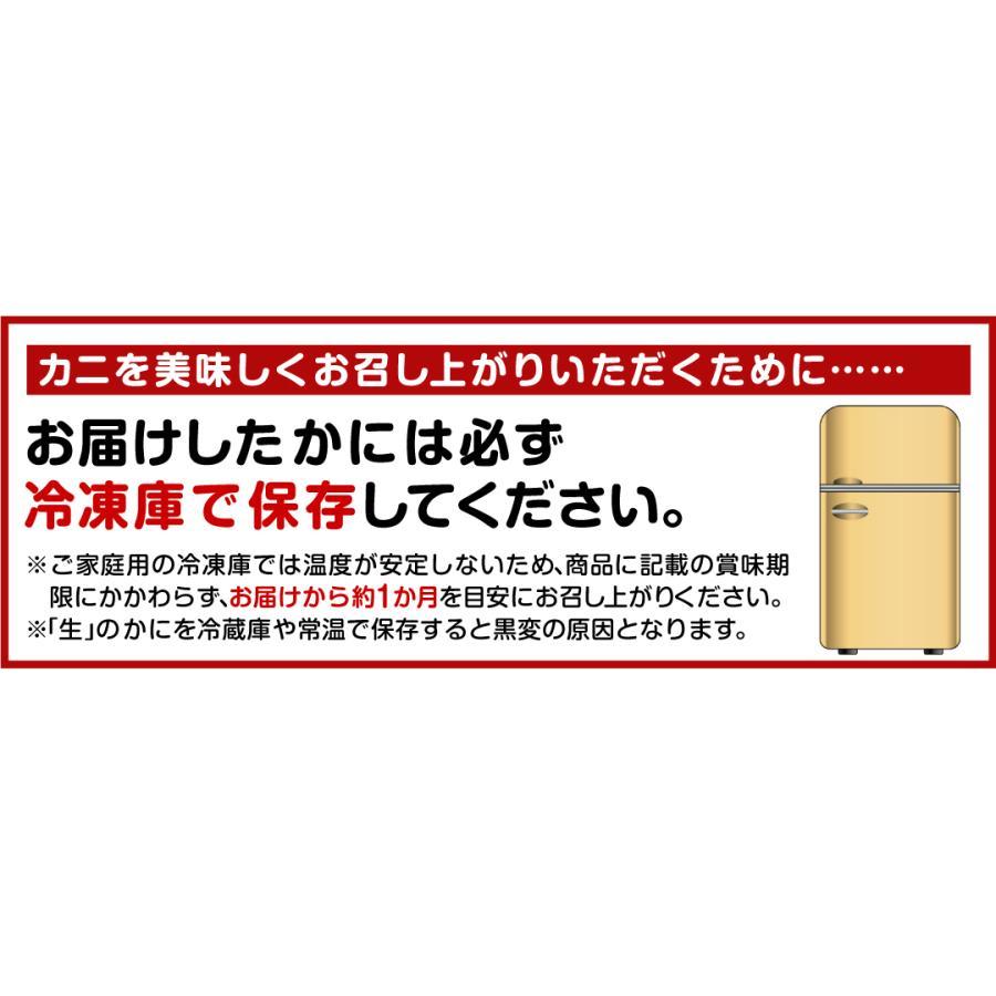 かに お買得 ボイルずわいがに・姿 1尾 約350g 冷凍便 食品