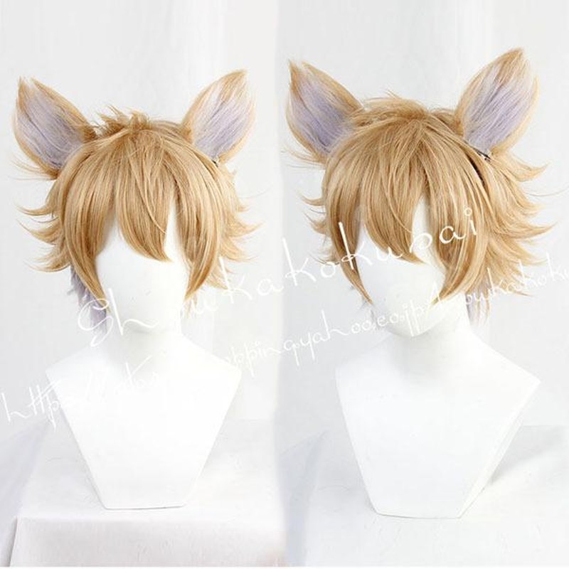 コスプレウィッグ ツイステッドワンダーランド風 Ruggie Bucchi ラギー・ブッチ かつら WIG 耐熱 cosplay ハロウィン仮装 変装  コスチューム | LINEブランドカタログ