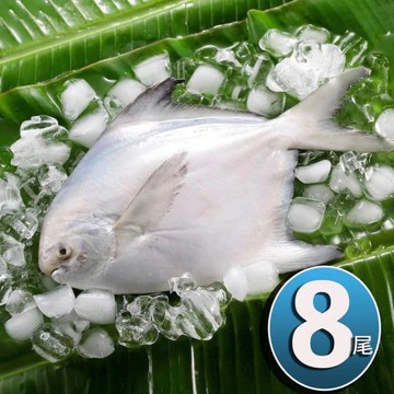 【華得水產】鮮嫩野生白鯧魚8尾組(400-480G/尾)