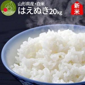 令和5年産 新米 山形県産 はえぬき 白米 20kg(5kg×4袋) 一等米 精米 ギフト 新生活応援 産地直送 のし プレゼント おにぎらず 代表米 お