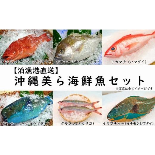 ふるさと納税 沖縄県 那覇市  沖縄美ら海鮮魚セット