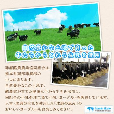 ふるさと納税 あさぎり町 球磨の恵み「のむヨーグルト」加糖450g×10本セット