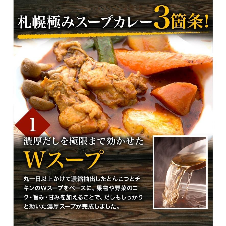 札幌極みスープカレー 業務用20食 送料無料 スープカレー レトルト カレー 大容量 北海道 チキン10食・豚角煮10食 ギフト 飲食店 レストラン ホテル 卸