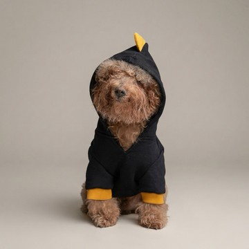 【Poshüpets】暮光夕陽恐龍連帽衫｜毛孩禮物、寵物衣物、貓狗皆可、毛孩穿搭、毛小孩、狗衣服、貓衣服