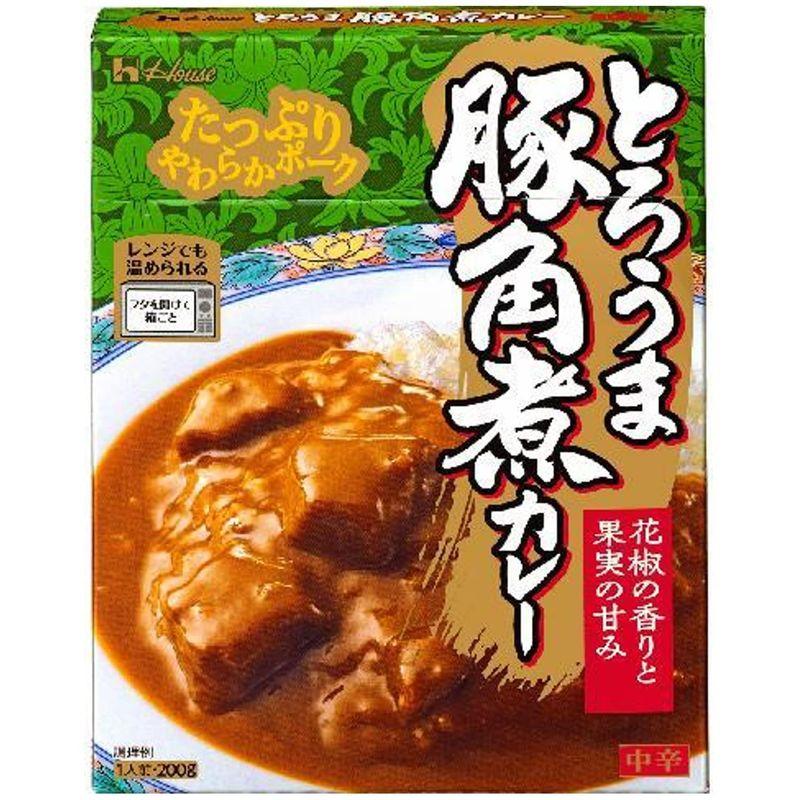 ハウスとろうま豚角煮カレー 200g ×5個 レンジ化対応・レンジで簡単調理可能