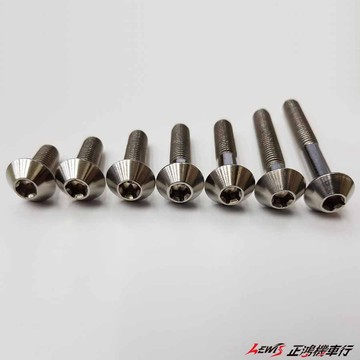 正鴻機車行 星型白鐵防盜不鏽鋼錐形螺絲 M10 防盜螺絲 拆卸需使用特殊工具