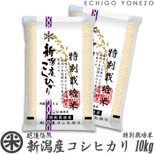 [新米 令和5年産] 新潟産コシヒカリ 特別栽培米 10kg (5kg×2袋) 減農薬 減化学肥料 新潟米 こしひかり お米 白米 送料無料 ギフト対応