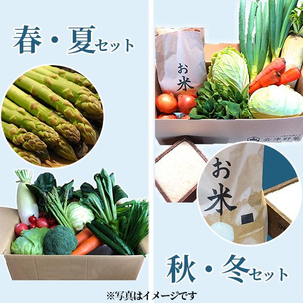 喜多方アスパラ野菜セット（大）1回（10〜12品目）4名様1週間分相当