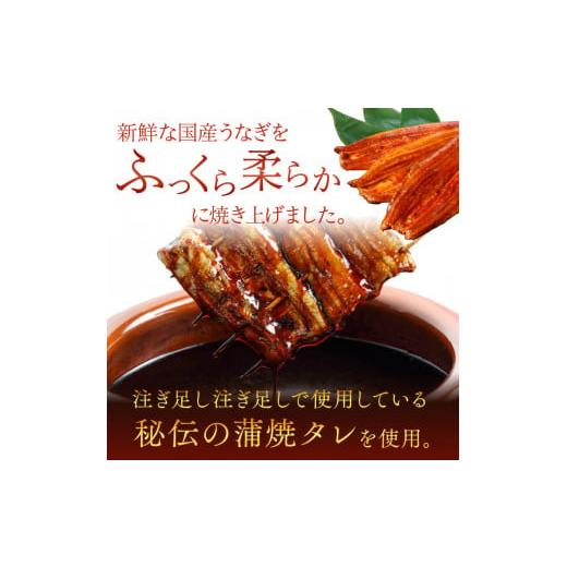 ふるさと納税 茨城県 行方市 AD-91　やわらか新仔うなぎ蒲焼120〜140ｇ　2尾×3回　計720ｇ以上