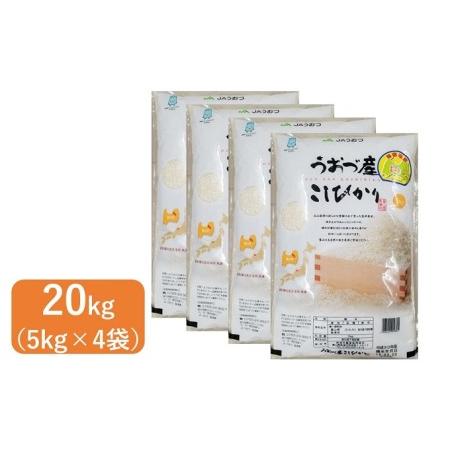 ふるさと納税 米 コシヒカリ 20kg (5kg×4袋) 魚津産米 富山 こめ コメ お米 おこめ 白米 精米 富山県魚津市