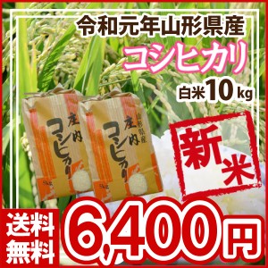 令和5年 山形県産 コシヒカリ 白米 精米済 10kg(5kg×2)（送料無料）