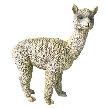 COLLECTA 野生動物系列 羊駝 模型玩具  1個