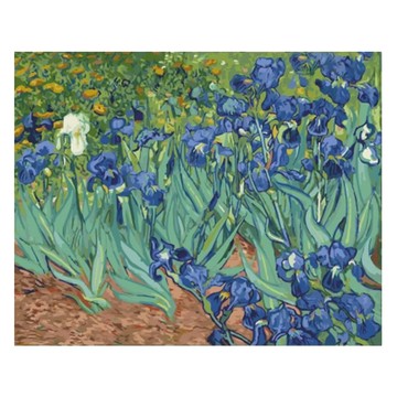 ArtLife 藝術生活 數字油畫DIY DTR100 50 x 65cm  梵谷 鳶尾花  1個
