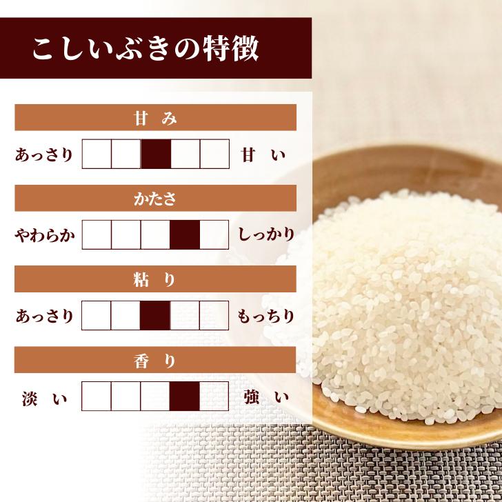 新米 5年産 新潟産 こしいぶき 10kg 5kg×2袋 受注精米 お歳暮 冷めてもおいしい 新潟県産 米 白米 精米 減農薬 農家 直送 生産者 備蓄 ギフト 内祝