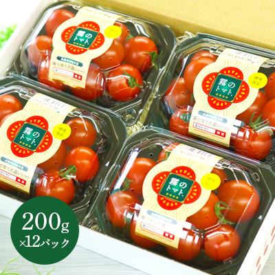 ふるさと納税 西脇市 霧のトマト(糖度8保証) 200g×12パック