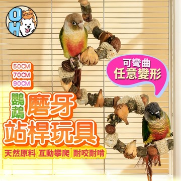 【歐豆K】鸚鵡磨牙站桿玩具 啃咬攀爬梯 攀爬站杆 啃咬磨嘴攀爬架 鸚鵡啃咬串 鳥籠爬架 啃咬玩具 鳥籠造景 益智玩具