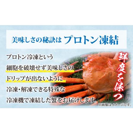 ふるさと納税 福井県産 越前コッペガニ（セイコガニ）×4杯（プロトン凍結.. 福井県高浜町